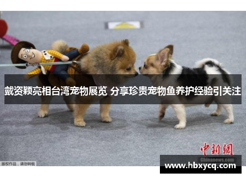 戴资颖亮相台湾宠物展览 分享珍贵宠物鱼养护经验引关注